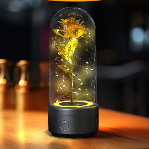 2 In 1 Rose Flowers in Creative LED Glass Lamp with Bluetooth for Home Decor