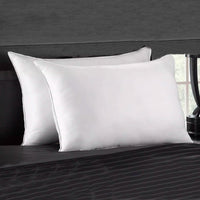 2-Piece Set: Stomach Sleeper Extra Soft Plush Gel Pillow