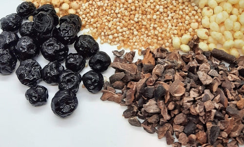NEW Dark Chocolate Alegria Bites w/ Blueberries + Cacao Nibs