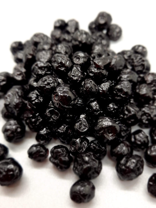 NEW Dark Chocolate Alegria Bites w/ Blueberries + Cacao Nibs
