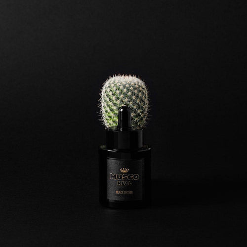 Musgo Real Beard Oil Black Edition 1 fl Oz