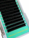 Easy Fan -Smart Fan - Blossom Lash - 0.05mm Cashmere PRO Lashes