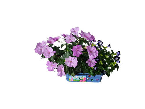 Flower Princess Palace Mini World Terrarium