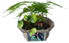 Dinosaur Domain Biosphere Terrarium