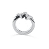 Monsieur Ring