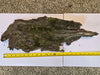 Thick Mossy Bark