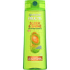 Garnier Fructis Sleek & Shine Smoothing Shampoo for Frizzy; Dry Hair; 12.5 fl oz EasyOptionXY LLC