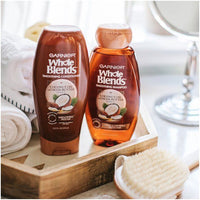 Garnier Whole Blends Smoothing Shampoo and Conditioner; For Frizzy Hair; 1 kit EasyOptionXY LLC