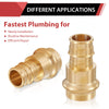 1-1/2" Copper Press x 1-1/2" PEX Expansion Brass Adapter (Lead Free)