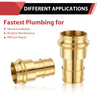 3/4" Copper Press x 1" PEX Expansion Brass Adapter (Lead Free)