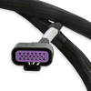 GM GEN V GDI EARLY, SUB HARNESS