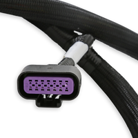 GM GEN V GDI EARLY, SUB HARNESS