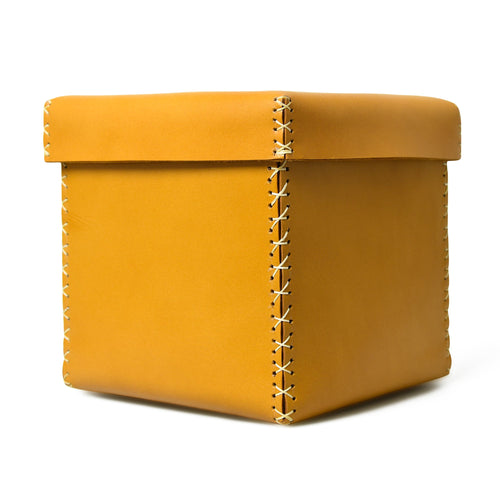 Multi Utility Leather Storage Box