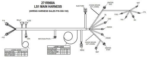 LS1/6 (24x/1x) Engine Main Harness