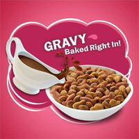 Friskies Gravy Swirlers Savory Chicken & Salmon Dry Cat Food, 16 lb Bag EasyOptionXY LLC