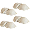 Mini Italian Sfogliatelle Take and Bake Pastries