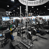 Vertical Olympic Bar Rack - 10 Bar - Muscle D Fitness -  Sturdy Vertical Olympic Bar Holder