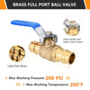 10 Pcs 3/4" PEX Expansion Ball Valve, Blue (Lead Free)