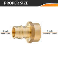30 Pcs PEX A Full Flow Expansion 1" PEX x 1" Female Threaded F1960 Adapter Wholesale