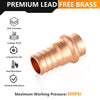 30 Pcs 1/2" Press Copper x 3/4" PEX Crimp Adapter (Lead Free)
