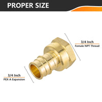 PEX A Expansion 3/4" PEX x 3/4" Female Threaded F1960 Adapter (Lead Free)