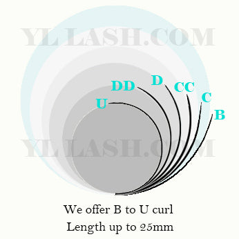 Cashmere PRO Extra Matte Deep Black Lash 【0.02 mm】16-lines - NO logo【Best Quality Ever】