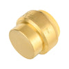 3/4" Push Fit Plug (End Stop) Plumbingsell