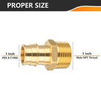 30 Pcs PEX A Full Flow Expansion Adapter 1" PEX x 1" Male Threaded F1960 Adapter Wholesale