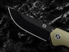 The Pathfinder Folding Pocket Knife Giftset for Men and Women (Green and Silver)