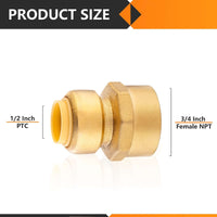 1/2" x 3/4" F Push Fit Female Adapter