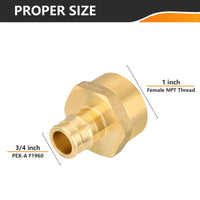 PEX A Expansion 3/4" PEX x 1" Female Threaded F1960 Adapter (Lead Free) Plumbingsell