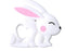 White Rabbit