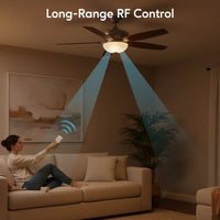 3-in-1 Remote Control for Ceiling Fan