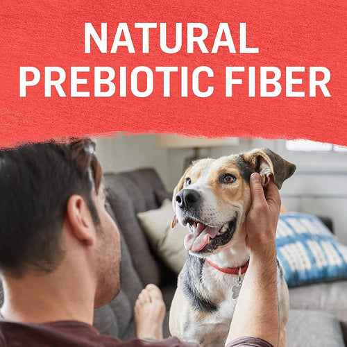 (6 Pack) Purina Beyond Natural Pate Wet Dog Food Variety Pack, Grain Free Ground Entrees, 13 oz. Cans EasyOptionXY LLC