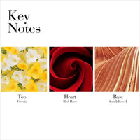 Elizabeth Arden Elizabeth Arden Red Door Eau De Toilette Spray Natural, Perfume for Women, 3.3 fl. oz, 3.3 fl oz EasyOptionXY LLC