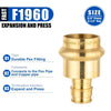 3/4" Copper Press x 1/2" PEX Expansion Brass Adapter (Lead Free)