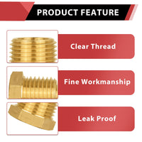 30 Pcs 1/8" Plug