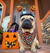 Trick N Treat Cooling Bandana