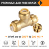 Pro 6-Pack 3/4" Push Fit Tee