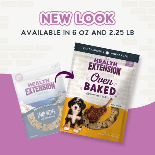 Oven Baked Lamb Treats