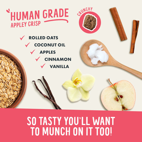 Crunchy Munchies Granola Bites-Appley Crisp