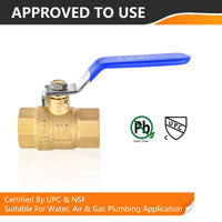 3/4" FNPT Ball Valve, Blue (Lead Free)