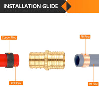 PEX-B Crimp 3/4-Inch Pex x 3/4-Inch PB Transition Brass Pex Coupling (Lead Free)