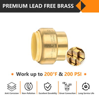 30 Pcs 3/4" Push Fit Plug (End Stop)