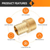 30 Pcs PEX-B Crimp 3/4" PEX x 1/2" Male Threaded Adapter (Lead Free)