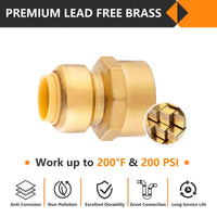 30 Pcs 1/2" x 3/4" F Push Fit Female Adapter