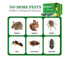 24 Pack Peppermint Oil for Mice Rats Squirrel Spider Pests Repellent Indoor