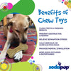 Bone eChew Ultra Durable Nylon Dog Chew Toy for Aggressive Chewers | USA Made