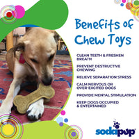 Bone eChew Ultra Durable Nylon Dog Chew Toy for Aggressive Chewers | USA Made