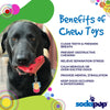 Cherry Pie Nylon Dog Chew Toy for Aggressive Chewers | USA Made | SodaPup